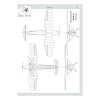 Single-Seat Aerobatic Aircraft RWD-10